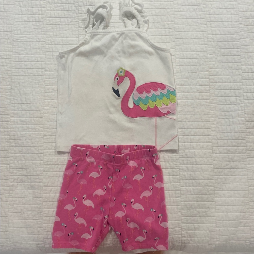 Gymboree Pink Flamingo Set